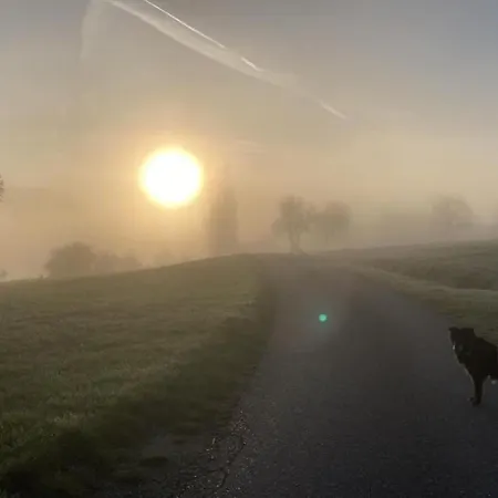 Σπίτι διακοπών Kubisches Freistehendes Mit Blick Auf Einen Weiher *
